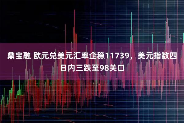 鼎宝融 欧元兑美元汇率企稳11739，美元指数四日内三跌至98关口