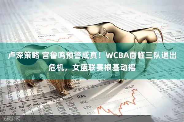 卢深策略 宫鲁鸣预警成真！WCBA面临三队退出危机，女篮联赛根基动摇