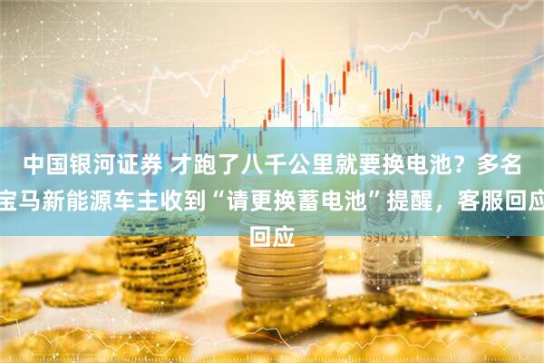 中国银河证券 才跑了八千公里就要换电池？多名宝马新能源车主收到“请更换蓄电池”提醒，客服回应